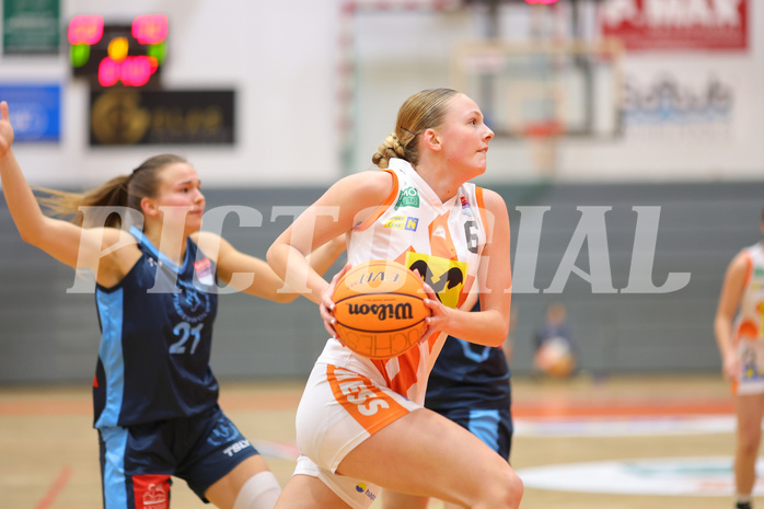 Basketball Damen Superliga 2023/24, Grunddurchgang 9.Runde BK Duchess Klosterneuburg vs. Vienna Timberwolves


