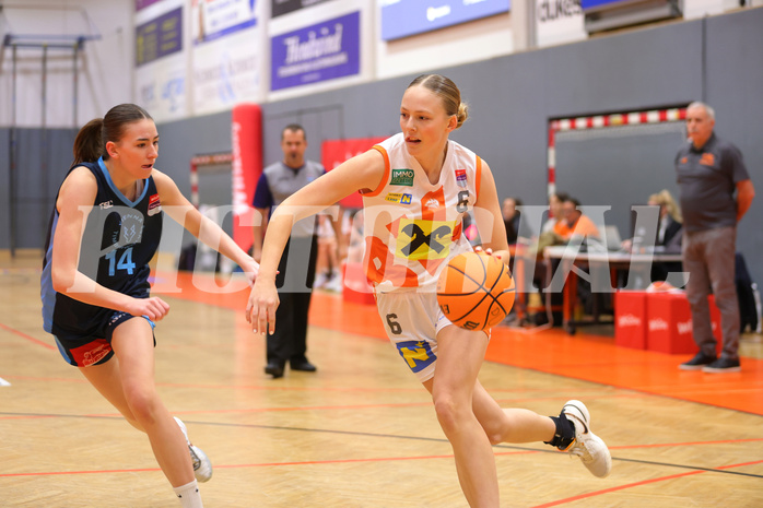 Basketball Damen Superliga 2023/24, Grunddurchgang 9.Runde BK Duchess Klosterneuburg vs. Vienna Timberwolves


