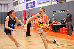 Basketball Damen Superliga 2023/24, Grunddurchgang 9.Runde BK Duchess Klosterneuburg vs. Vienna Timberwolves


