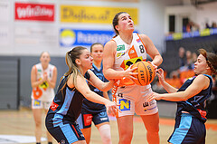 Basketball Damen Superliga 2023/24, Grunddurchgang 9.Runde BK Duchess Klosterneuburg vs. Vienna Timberwolves


