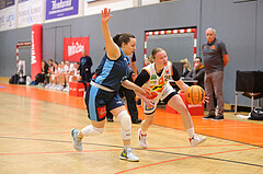 Basketball Damen Superliga 2023/24, Grunddurchgang 9.Runde BK Duchess Klosterneuburg vs. Vienna Timberwolves


