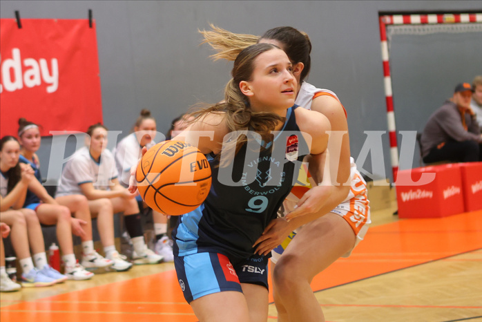Basketball Damen Superliga 2023/24, Grunddurchgang 9.Runde BK Duchess Klosterneuburg vs. Vienna Timberwolves


