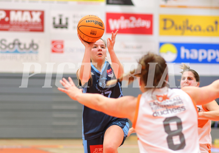 Basketball Damen Superliga 2023/24, Grunddurchgang 9.Runde BK Duchess Klosterneuburg vs. Vienna Timberwolves


