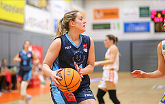 Basketball Damen Superliga 2023/24, Grunddurchgang 9.Runde BK Duchess Klosterneuburg vs. Vienna Timberwolves



