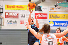 Basketball Damen Superliga 2023/24, Grunddurchgang 9.Runde BK Duchess Klosterneuburg vs. Vienna Timberwolves



