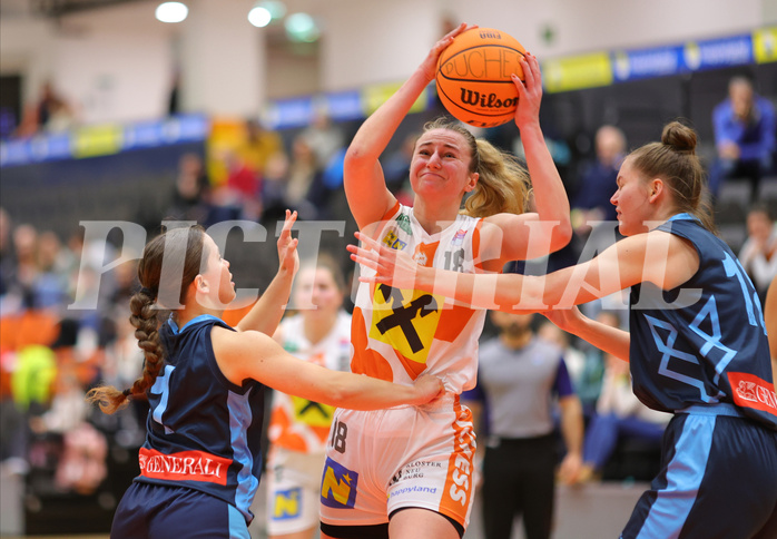 Basketball Damen Superliga 2023/24, Grunddurchgang 9.Runde BK Duchess Klosterneuburg vs. Vienna Timberwolves



