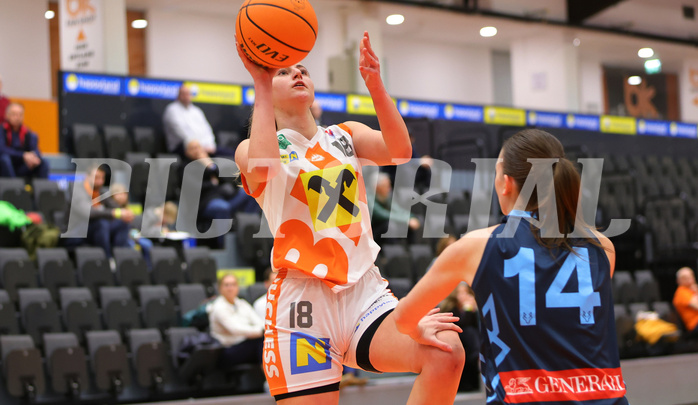 Basketball Damen Superliga 2023/24, Grunddurchgang 9.Runde BK Duchess Klosterneuburg vs. Vienna Timberwolves


