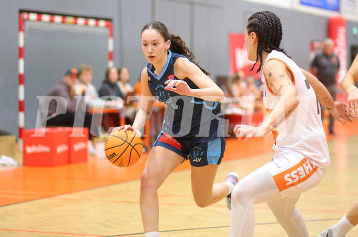 Basketball Damen Superliga 2023/24, Grunddurchgang 9.Runde BK Duchess Klosterneuburg vs. Vienna Timberwolves


