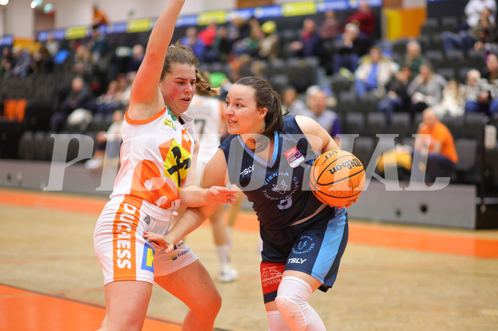 Basketball Damen Superliga 2023/24, Grunddurchgang 9.Runde BK Duchess Klosterneuburg vs. Vienna Timberwolves


