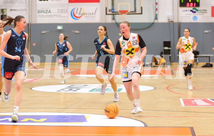 Basketball Damen Superliga 2023/24, Grunddurchgang 9.Runde BK Duchess Klosterneuburg vs. Vienna Timberwolves


