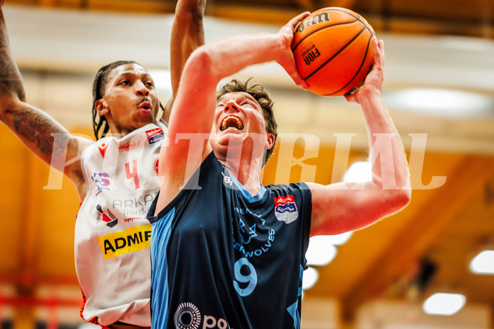 Basketball, win2day Basketball Superliga 2023/24, Grunddurchgang 20.Runde, Traiskirchen Lions, Vienna DC Timberwolves, Philipp D'Angelo (9)