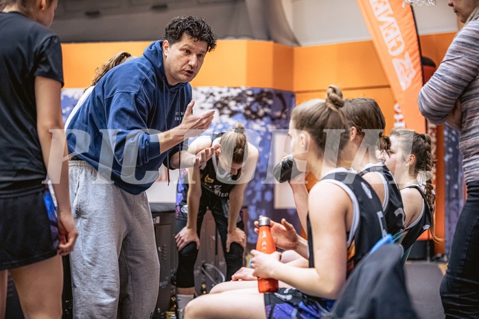 Basketball, Win2Day Basketball Damen Superliga 2022/23, Grunddurchgang 9.Runde, Vienna Timberwolves, Vienna United, Vedran Schuch (Headcoach)