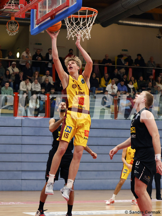 Basketball Zweite Liga 2024/25, Grunddurchgang 14.Runde Traiskirchen Lions NextGen vs. Mattersburg Rocks


