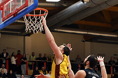 Basketball Zweite Liga 2024/25, Grunddurchgang 14.Runde Traiskirchen Lions NextGen vs. Mattersburg Rocks


