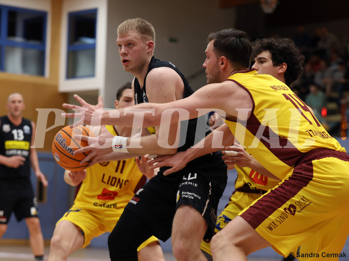 Basketball Zweite Liga 2024/25, Grunddurchgang 14.Runde Traiskirchen Lions NextGen vs. Mattersburg Rocks


