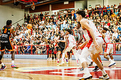 Basketball, win2day Basketball Superliga 2023/24, Grunddurchgang 1.Runde, Traiskirchen Lions, Fürstenfeld Panthers, 