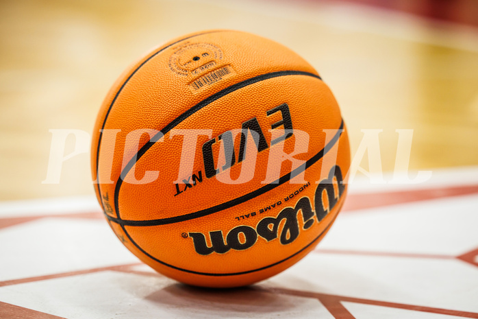 Basketball, win2day Basketball Superliga 2023/24, Grunddurchgang 1.Runde, Traiskirchen Lions, Fürstenfeld Panthers, #featured #spielball #wilson