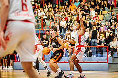 Basketball, win2day Basketball Superliga 2023/24, Grunddurchgang 1.Runde, Traiskirchen Lions, Fürstenfeld Panthers, Felix Leindecker (6)