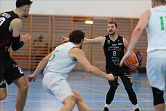 Basketball Zweite Liga 2024/25, Grunddurchgang 19.Runde Union Deutsch Wagram Aligators vs. Mistelbach Mustangs