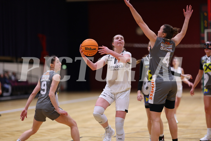 Basketball Damen Superliga 2023/24, Grunddurchgang, 13 Runde Basket Flames vs. Duchess Klosterneuburg


