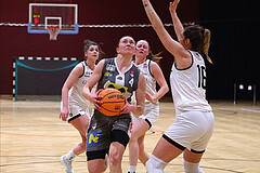 Basketball Damen Superliga 2023/24, Grunddurchgang, 13 Runde Basket Flames vs. Duchess Klosterneuburg


