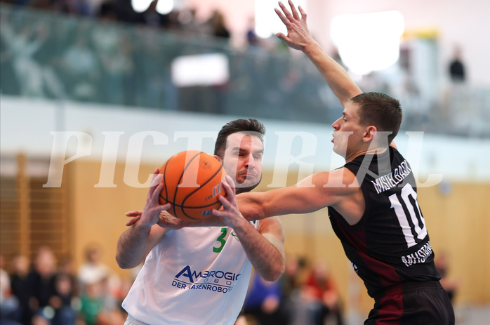 Basketball Zweite Liga 2024/25, Grunddurchgang 19.Runde Union Deutsch Wagram Aligators vs. Mistelbach Mustangs


