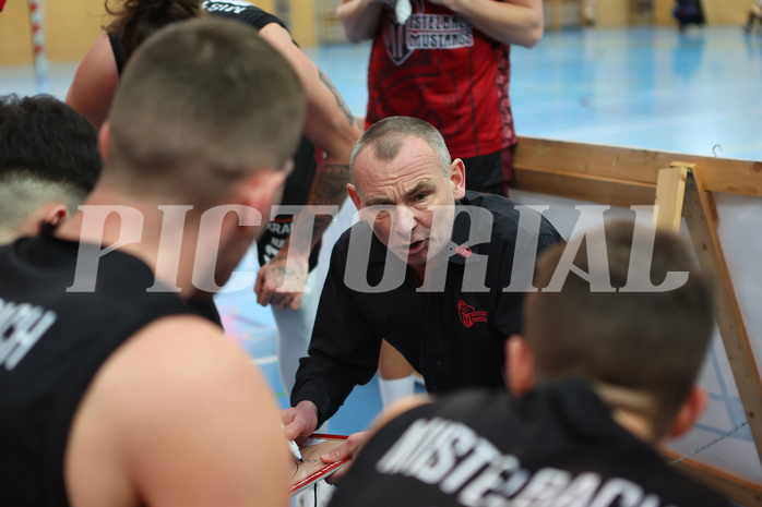 Basketball Zweite Liga 2024/25, Grunddurchgang 19.Runde Union Deutsch Wagram Aligators vs. Mistelbach Mustangs


