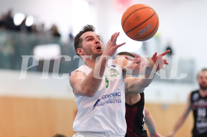 Basketball Zweite Liga 2024/25, Grunddurchgang 19.Runde Union Deutsch Wagram Aligators vs. Mistelbach Mustangs


