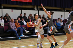 Basketball Damen Superliga 2023/24, Grunddurchgang, 13 Runde Basket Flames vs. Duchess Klosterneuburg


