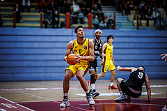 Basketball, Basketball Zweite Liga 2024/25, Grunddurchgang 19.Runde, Traiskirchen Lions NexGen, Wörthersee Piraten, Noah Oguamalam (0)
