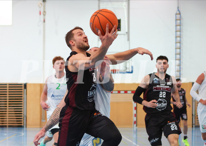 Basketball Zweite Liga 2024/25, Grunddurchgang 19.Runde Union Deutsch Wagram Aligators vs. Mistelbach Mustangs