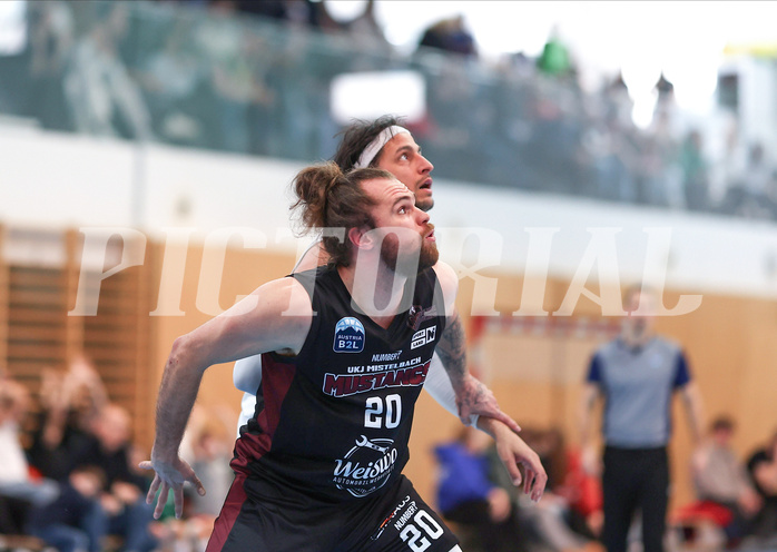 Basketball Zweite Liga 2024/25, Grunddurchgang 19.Runde Union Deutsch Wagram Aligators vs. Mistelbach Mustangs



