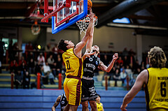 Basketball, Basketball Zweite Liga 2024/25, Grunddurchgang 19.Runde, Traiskirchen Lions NexGen, Wörthersee Piraten, Noah Oguamalam (0)