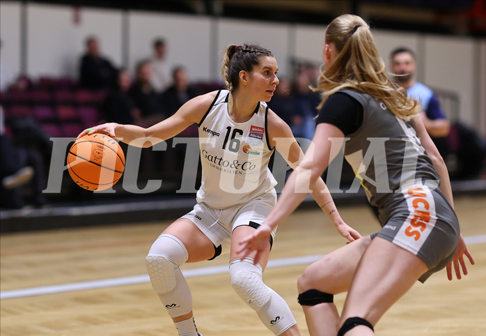 Basketball Damen Superliga 2023/24, Grunddurchgang, 13 Runde Basket Flames vs. Duchess Klosterneuburg


