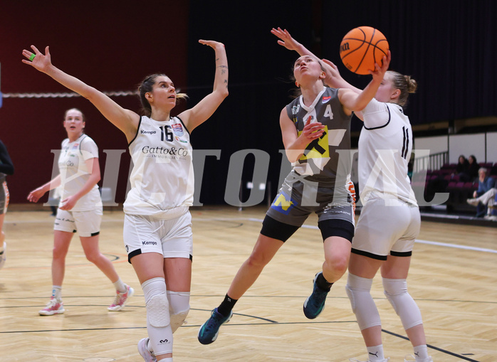 Basketball Damen Superliga 2023/24, Grunddurchgang, 13 Runde Basket Flames vs. Duchess Klosterneuburg


