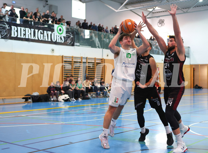 Basketball Zweite Liga 2024/25, Grunddurchgang 19.Runde Union Deutsch Wagram Aligators vs. Mistelbach Mustangs


