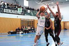 Basketball Zweite Liga 2024/25, Grunddurchgang 19.Runde Union Deutsch Wagram Aligators vs. Mistelbach Mustangs


