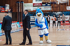 Basketball, Basketball Superliga 2023/24, Grundduchgang Runde 4., Oberwart Gunners, Kapfenberg Bulls, Oberwart Gunners Maskottchen