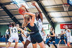 Basketball Basketball Damen Superliga 2021/22, Grunddurchgang 4.Runde Vienna D.C. Timberwolves vs. Basket Flames
