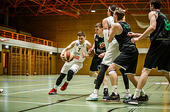 Basketball, Basketball Zweite Liga, Grunddurchgang 22.Runde, BBC Nord Dragonz, UDW Alligators Deutsch Wagram, Dragisa Najdanovic (7)