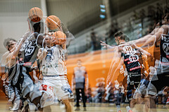Basketball, Win2Day Superliga 2023/24, Grunddurchgang 21.Runde, Vienna Timberwolves, Kapfenberg Bulls, feature