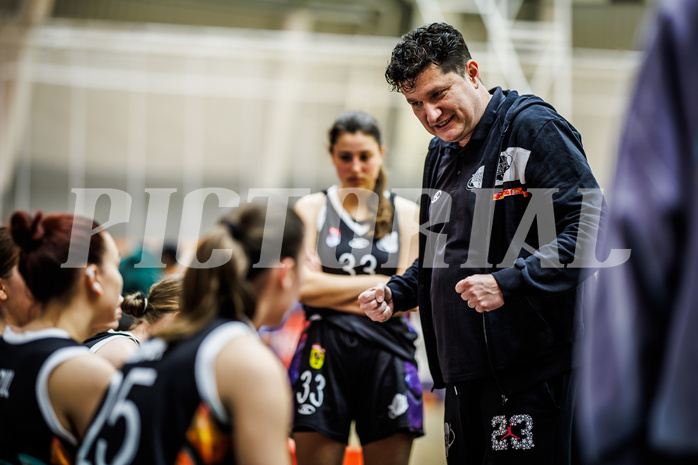 Basketball, Win2Day Basketball Damen Superliga 2023/24, Grunddurchgang 12.Runde, Vienna Timberwolves, Vienna United, Vedran Schuch (Head Coach)