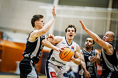 Basketball, Win2Day Superliga 2023/24, Grunddurchgang 21.Runde, Vienna Timberwolves, Kapfenberg Bulls, Elias Wlasak (8)