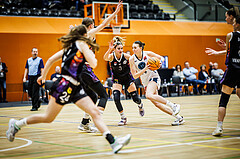 Basketball, Win2Day Basketball Damen Superliga 2023/24, Grunddurchgang 12.Runde, Vienna Timberwolves, Vienna United, Tita Zaboji (3), Melanie Fischer (14)