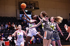 01.12.2024, Graz, Raiffeisen Sportpark, Basketball Damen Superliga 2024/25, Grunddurchgang, 8.Runde, UBSC-DBBC Graz - BK Raiffeisen Duchess ,  