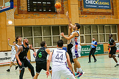 01.12.2024 Basketball Zweite Liga 2024/25, Grunddurchgang  10.Runde Vienna United vs. Union Deutsch Wagram Aligators

