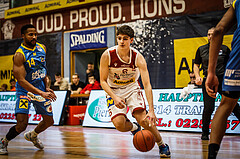 Basketball, win2day Basketball Superliga 2022/23, Grunddurchgang 10.Runde, Traiskirchen Lions, SKN St. Pölten, 