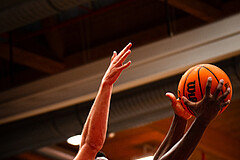 Basketball, win2day Basketball Superliga 2023/24, Grunddurchgang 4.Runde, Traiskirchen Lions, BBC Nord Dragonz, Davon Clare (5)