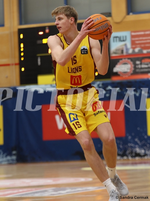 Basketball Zweite Liga 2024/25, Grunddurchgang 22.Runde Traiskirchen Lions NextGen vs. Mistelmach Mustangs


