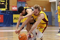 Basketball Zweite Liga 2024/25, Grunddurchgang 22.Runde Traiskirchen Lions NextGen vs. Mistelmach Mustangs


